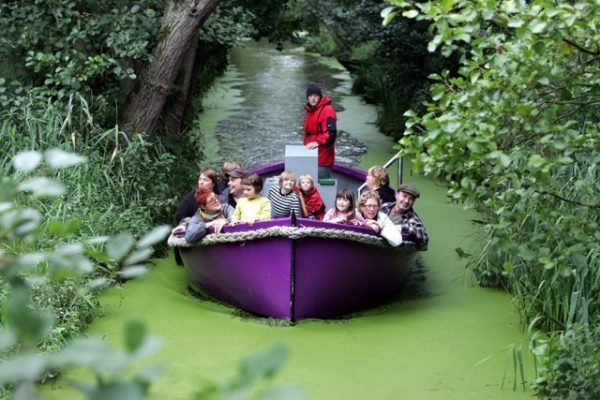 Best outdoor activities for kids in Norfolk