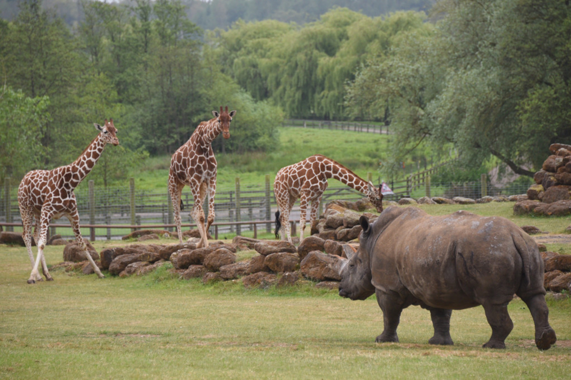 Top animal attractions in Suffolk